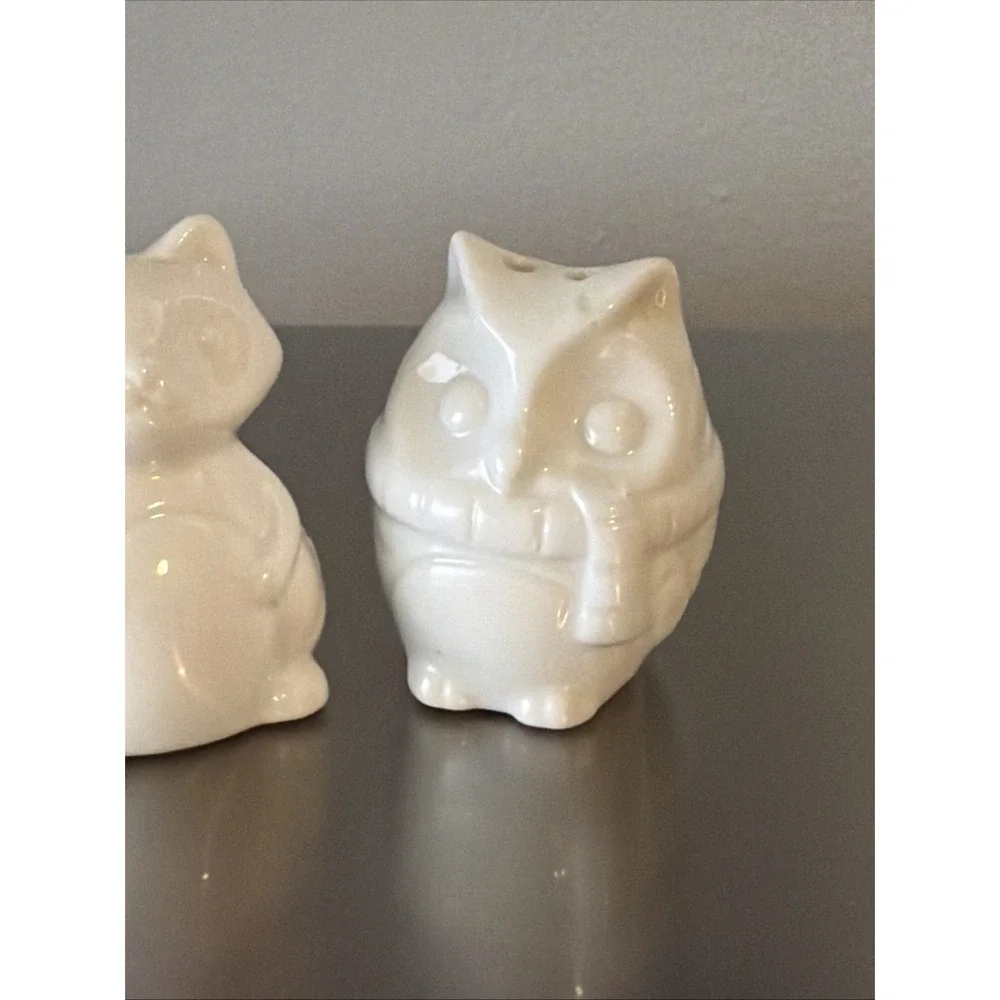 Owlet see all